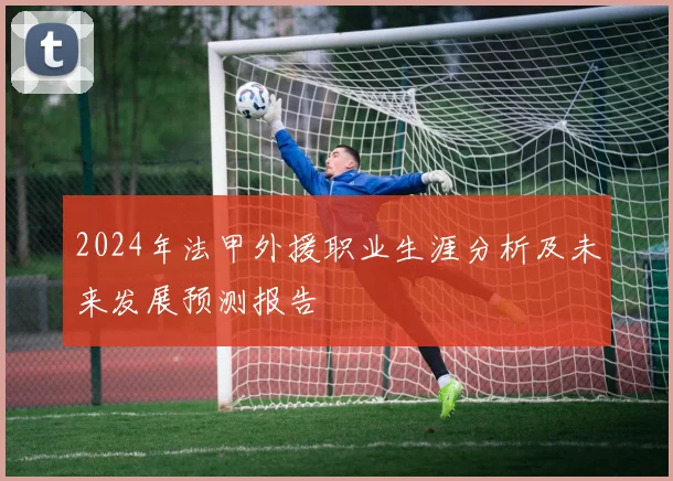 2024年法甲外援职业生涯分析及未来发展预测报告
