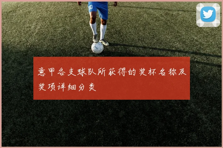 意甲各支球队所获得的奖杯名称及奖项详细分类