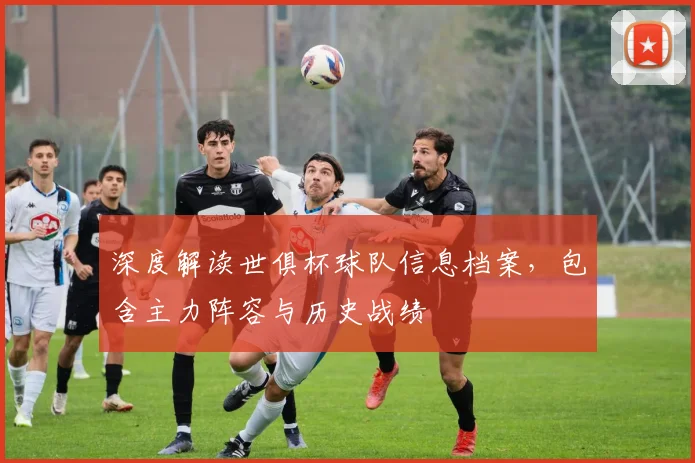深度解读世俱杯球队信息档案,包含主力阵容与历史战绩