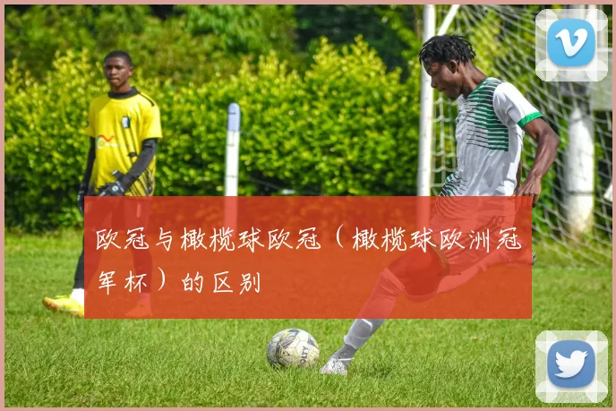 欧冠与橄榄球欧冠(橄榄球欧洲冠军杯)的区别