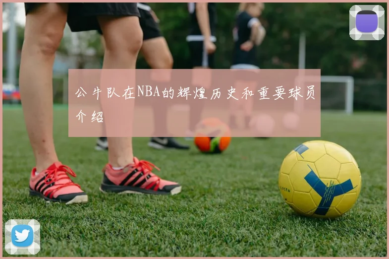 公牛队在NBA的辉煌历史和重要球员介绍