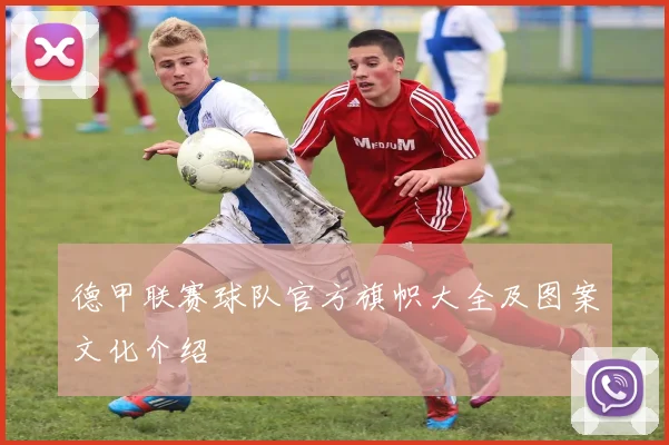 德甲联赛球队官方旗帜大全及图案文化介绍